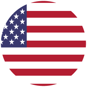 USA flag in a circle icon